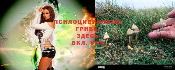 apvp Алексеевка