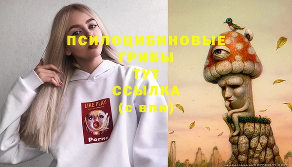 сатива Алексин