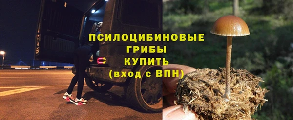 apvp Алексеевка