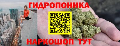 молекула духа Кандалакша