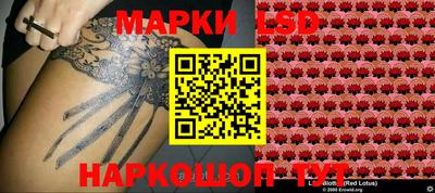 MDMA Premium VHQ Камышлов