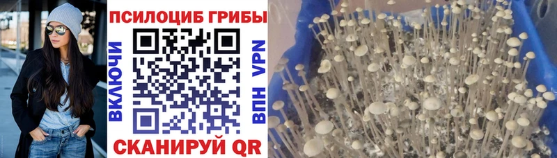 Псилоцибиновые грибы ЛСД  Златоуст 