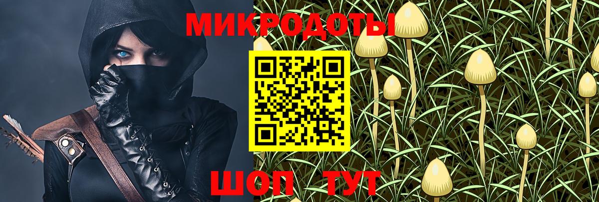 Галлюциногенные грибы GOLDEN TEACHER  Псилоцибиновые грибы GOLDEN TEACHER  Вход с VPN  Златоуст 