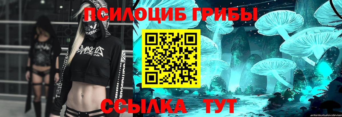 Псилоцибиновые грибы Psilocybine cubensis Златоуст